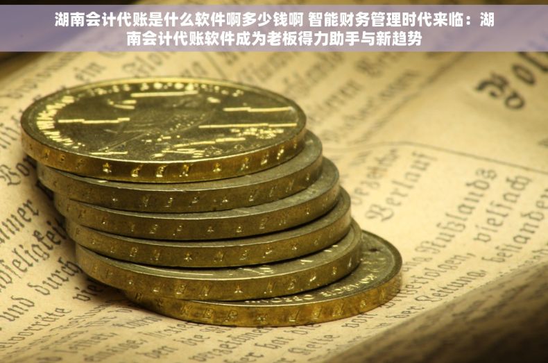 湖南会计代账是什么软件啊多少钱啊 智能财务管理时代来临：湖南会计代账软件成为老板得力助手与新趋势