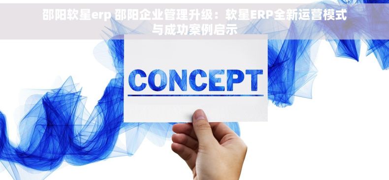邵阳软星erp 邵阳企业管理升级：软星ERP全新运营模式与成功案例启示