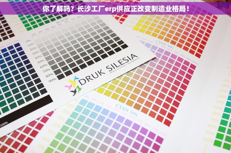 你了解吗？长沙工厂erp供应正改变制造业格局！