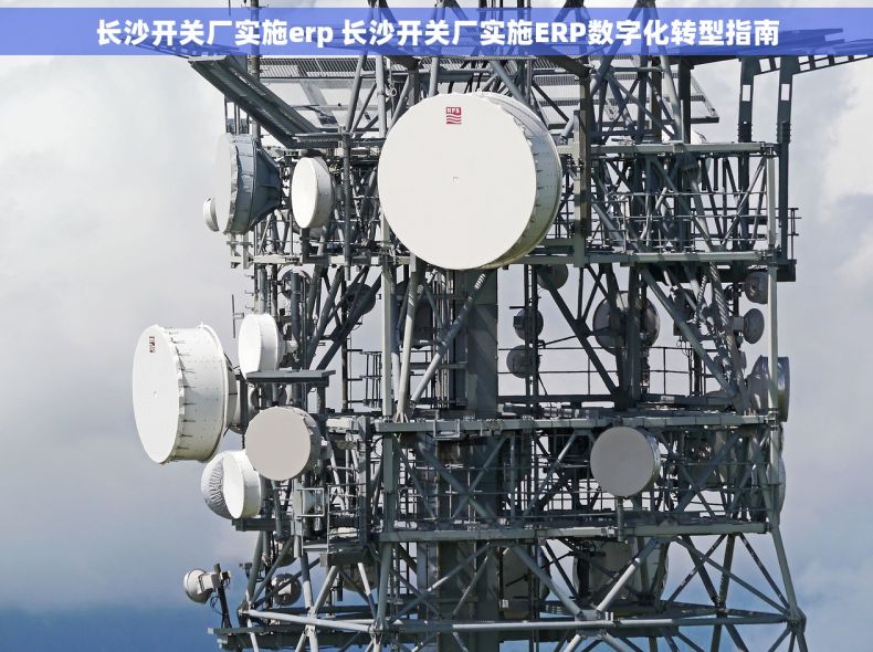 长沙开关厂实施erp 长沙开关厂实施ERP数字化转型指南