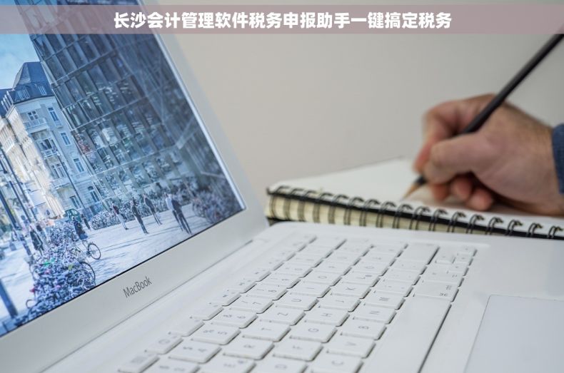 长沙会计管理软件税务申报助手一键搞定税务