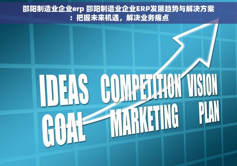邵阳制造业企业erp 邵阳制造业企业ERP发展趋势与解决方案：把握未来机遇，解决业务痛点