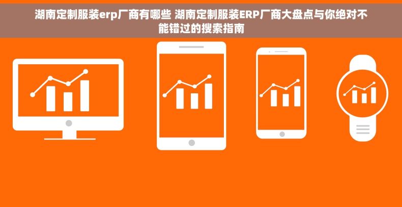 湖南定制服装erp厂商有哪些 湖南定制服装ERP厂商大盘点与你绝对不能错过的搜索指南