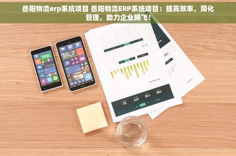 岳阳物流erp系统项目 岳阳物流ERP系统项目：提高效率，简化管理，助力企业腾飞！