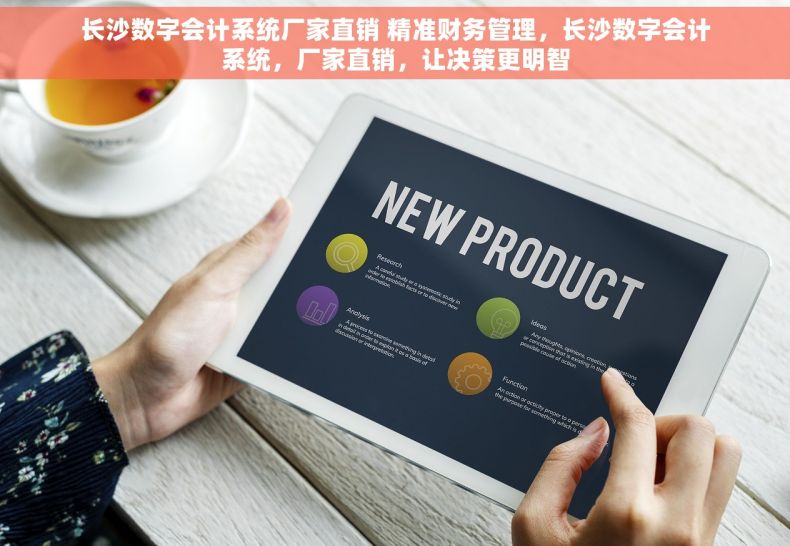 长沙数字会计系统厂家直销 精准财务管理，长沙数字会计系统，厂家直销，让决策更明智