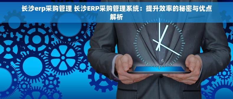 长沙erp采购管理 长沙ERP采购管理系统：提升效率的秘密与优点解析