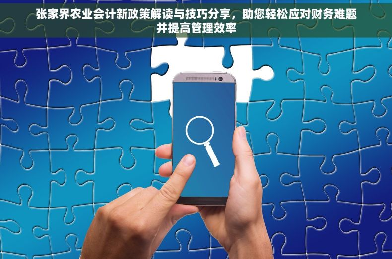 张家界农业会计新政策解读与技巧分享，助您轻松应对财务难题并提高管理效率