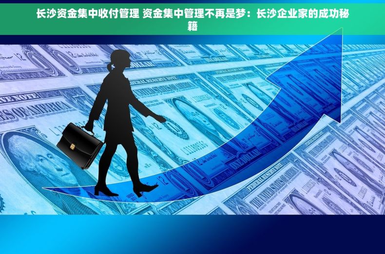 长沙资金集中收付管理 资金集中管理不再是梦：长沙企业家的成功秘籍