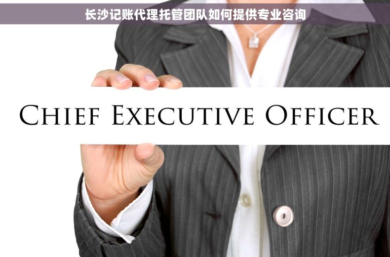 长沙记账代理托管团队如何提供专业咨询