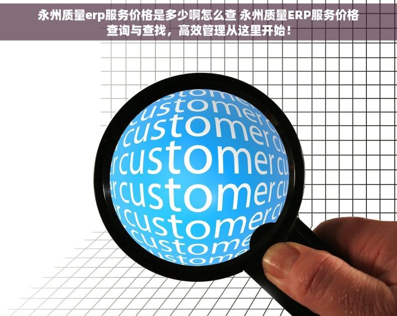 永州质量erp服务价格是多少啊怎么查 永州质量ERP服务价格查询与查找，高效管理从这里开始！