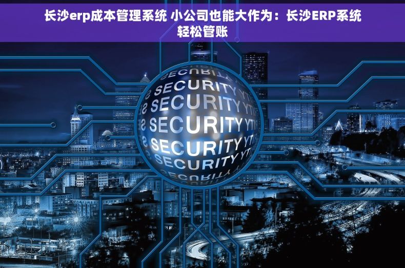 长沙erp成本管理系统 小公司也能大作为：长沙ERP系统轻松管账
