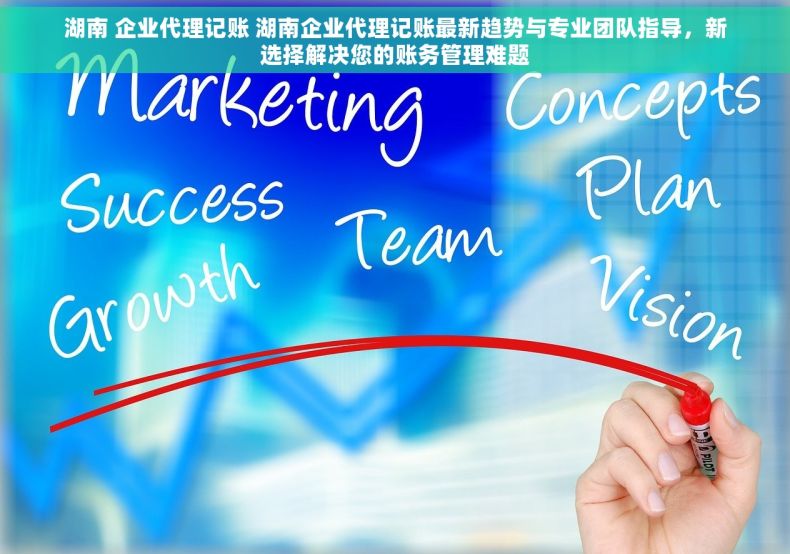 湖南 企业代理记账 湖南企业代理记账最新趋势与专业团队指导，新选择解决您的账务管理难题