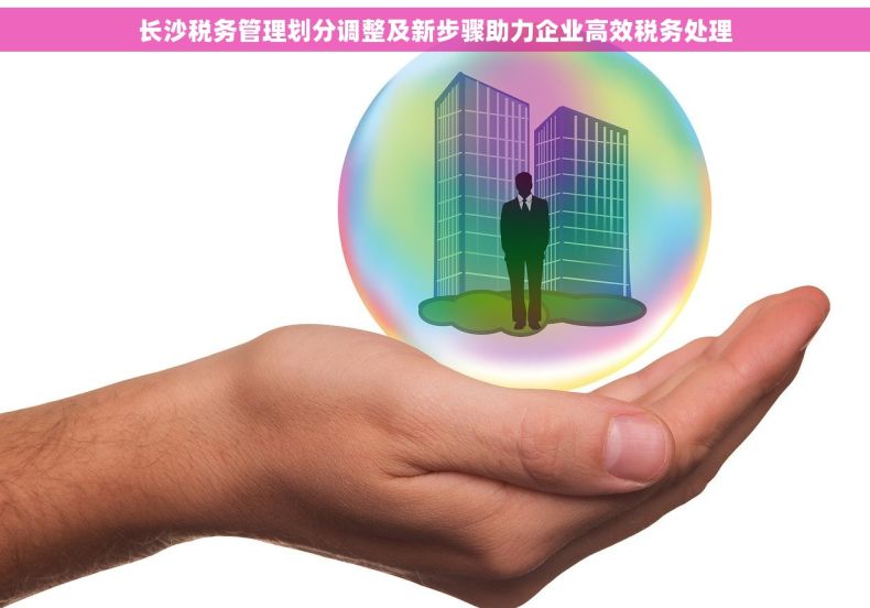 长沙税务管理划分调整及新步骤助力企业高效税务处理