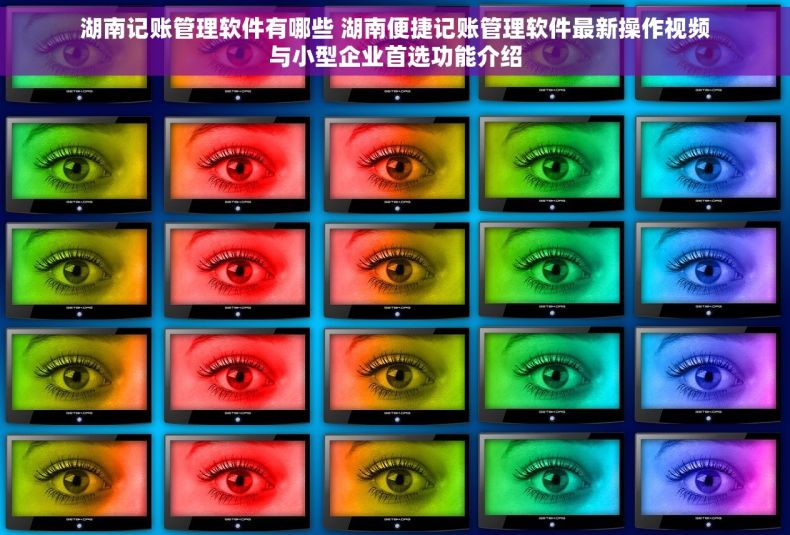 湖南记账管理软件有哪些 湖南便捷记账管理软件最新操作视频与小型企业首选功能介绍