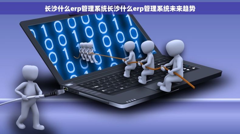 长沙什么erp管理系统长沙什么erp管理系统未来趋势