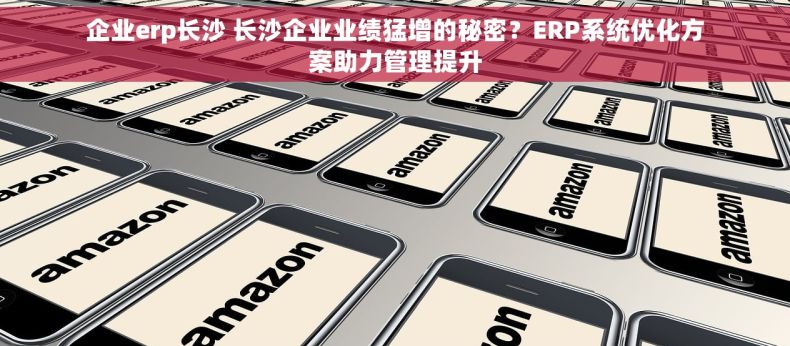 企业erp长沙 长沙企业业绩猛增的秘密？ERP系统优化方案助力管理提升