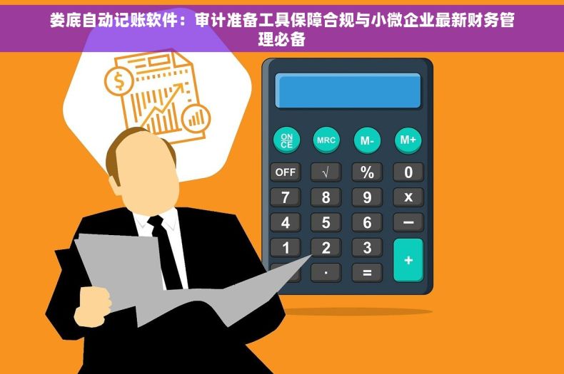 娄底自动记账软件：审计准备工具保障合规与小微企业最新财务管理必备