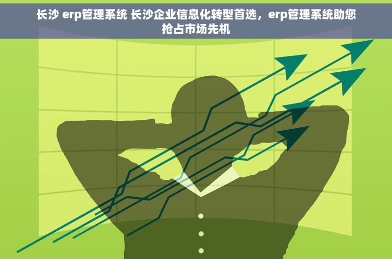 长沙 erp管理系统 长沙企业信息化转型首选，erp管理系统助您抢占市场先机