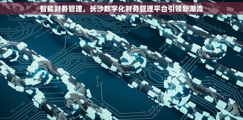 智能财务管理，长沙数字化财务管理平台引领新潮流