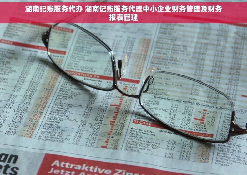湖南记账服务代办 湖南记账服务代理中小企业财务管理及财务报表管理