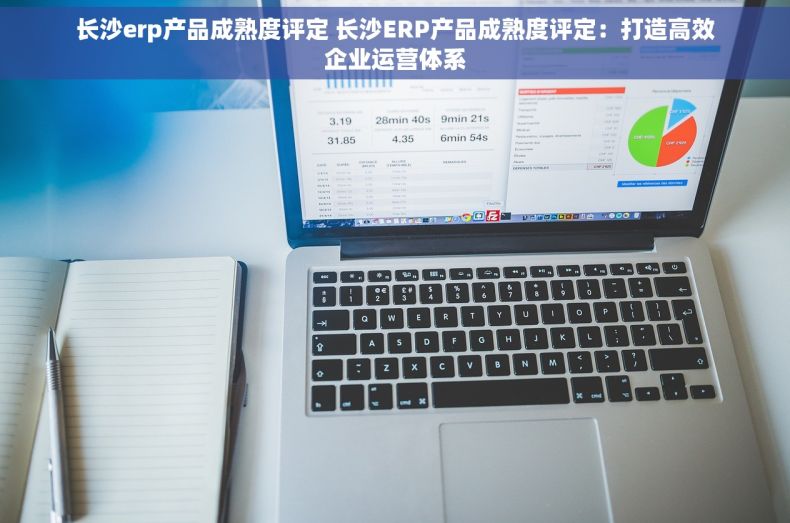 长沙erp产品成熟度评定 长沙ERP产品成熟度评定：打造高效企业运营体系