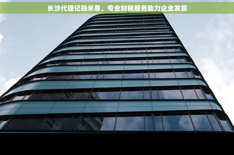 长沙代理记账米易，专业财税服务助力企业发展