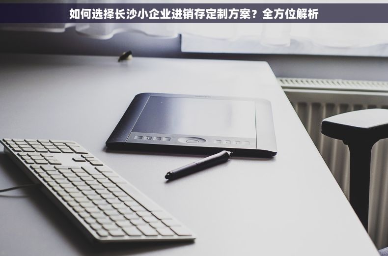 如何选择长沙小企业进销存定制方案？全方位解析