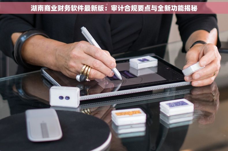 湖南商业财务软件最新版：审计合规要点与全新功能揭秘