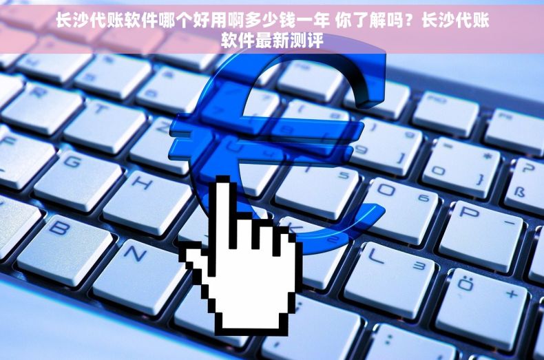 长沙代账软件哪个好用啊多少钱一年 你了解吗？长沙代账软件最新测评