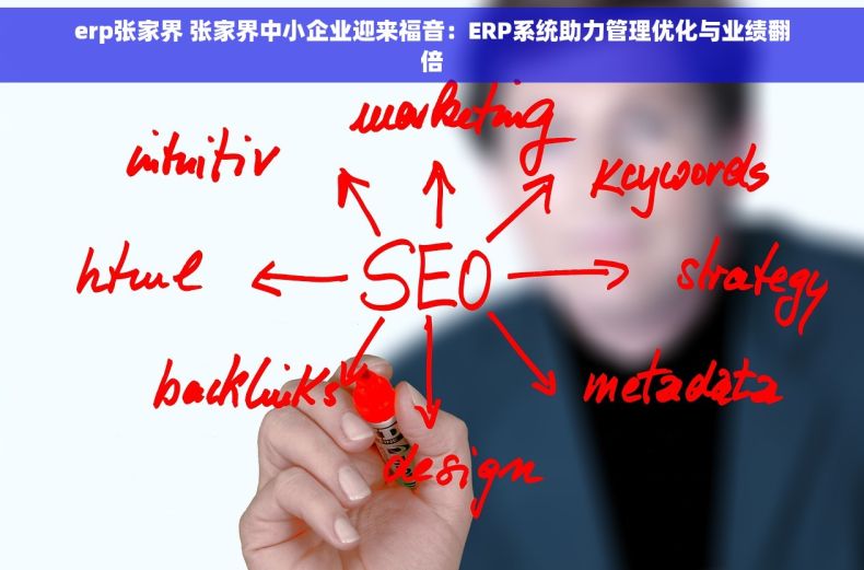 erp张家界 张家界中小企业迎来福音：ERP系统助力管理优化与业绩翻倍