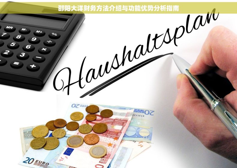 邵阳大洋财务方法介绍与功能优势分析指南