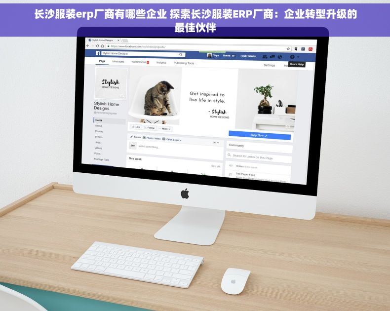 长沙服装erp厂商有哪些企业 探索长沙服装ERP厂商：企业转型升级的最佳伙伴