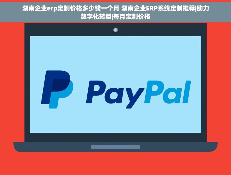 湖南企业erp定制价格多少钱一个月 湖南企业ERP系统定制推荐|助力数字化转型|每月定制价格