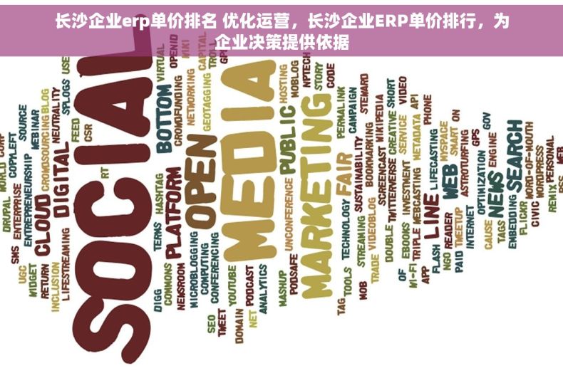 长沙企业erp单价排名 优化运营，长沙企业ERP单价排行，为企业决策提供依据