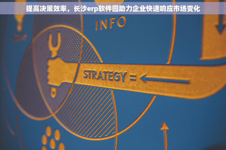 提高决策效率，长沙erp软件园助力企业快速响应市场变化