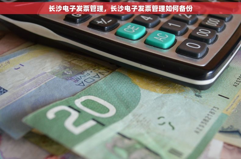 长沙电子发票管理，长沙电子发票管理如何备份