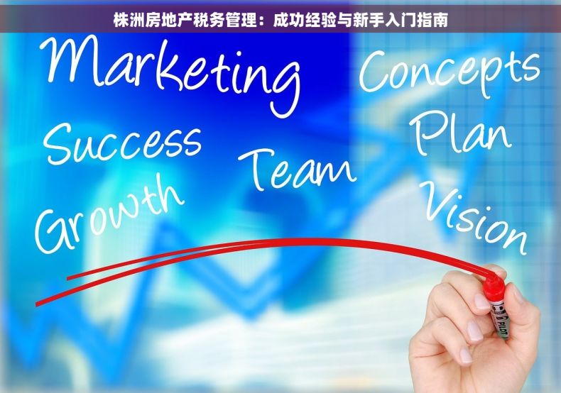 株洲房地产税务管理：成功经验与新手入门指南
