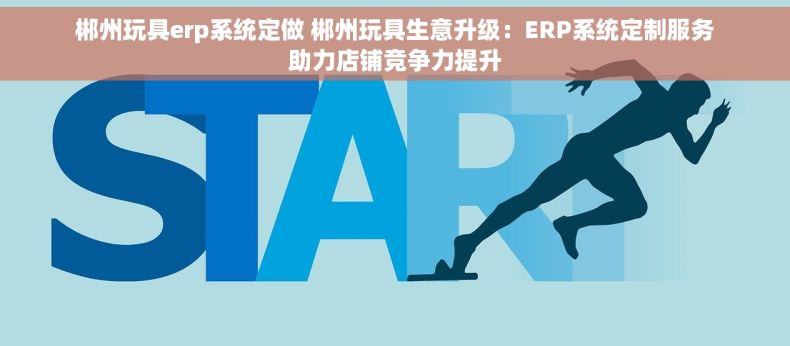 郴州玩具erp系统定做 郴州玩具生意升级：ERP系统定制服务助力店铺竞争力提升