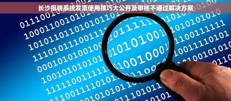 长沙报税系统发票使用技巧大公开及审核不通过解决方案