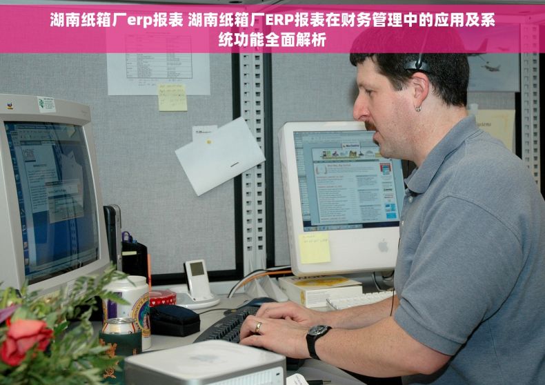 湖南纸箱厂erp报表 湖南纸箱厂ERP报表在财务管理中的应用及系统功能全面解析