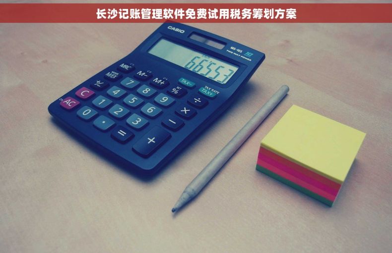 长沙记账管理软件免费试用税务筹划方案
