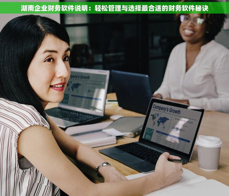 湖南企业财务软件说明：轻松管理与选择最合适的财务软件秘诀