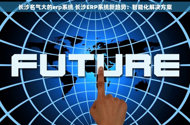长沙名气大的erp系统 长沙ERP系统新趋势：智能化解决方案