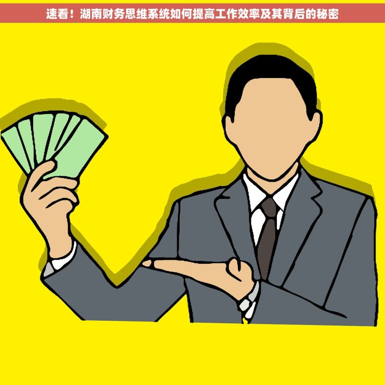 速看！湖南财务思维系统如何提高工作效率及其背后的秘密