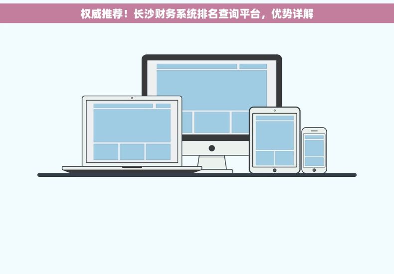 权威推荐！长沙财务系统排名查询平台，优势详解