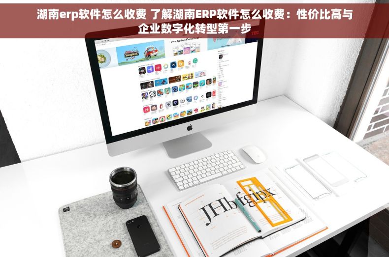 湖南erp软件怎么收费 了解湖南ERP软件怎么收费：性价比高与企业数字化转型第一步