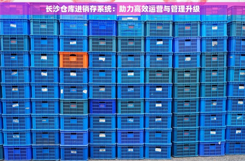 长沙仓库进销存系统：助力高效运营与管理升级