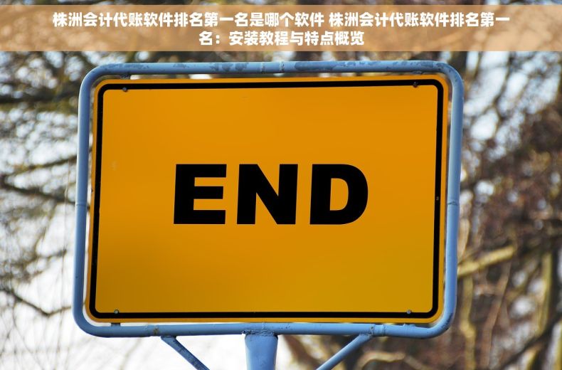 株洲会计代账软件排名第一名是哪个软件 株洲会计代账软件排名第一名：安装教程与特点概览