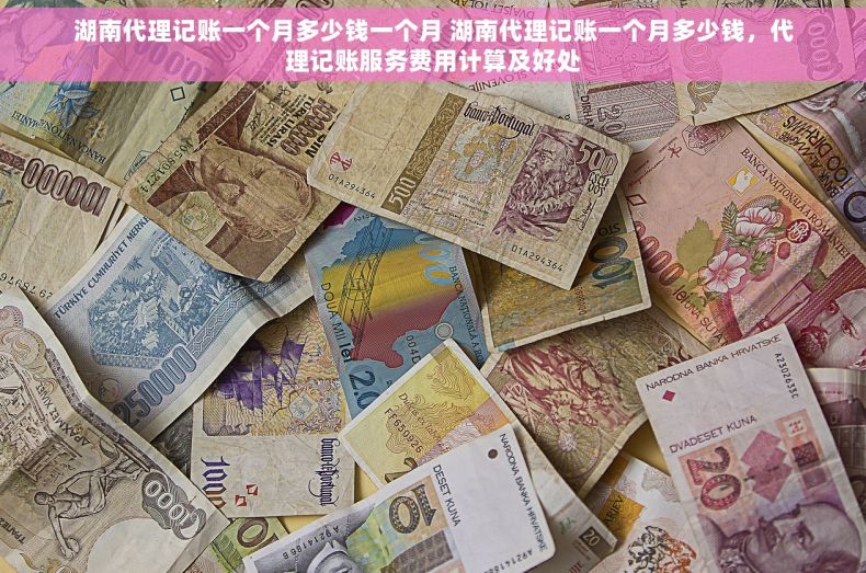 湖南代理记账一个月多少钱一个月 湖南代理记账一个月多少钱，代理记账服务费用计算及好处