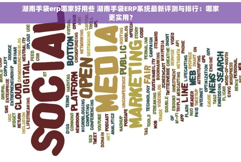湖南手袋erp哪家好用些 湖南手袋ERP系统最新评测与排行：哪家更实用？